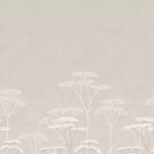 Achillea Brume Little Greene Wallpaper